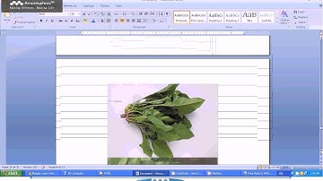 Learn Vietnamese: Vegetable - Rau cải (Part 4)
