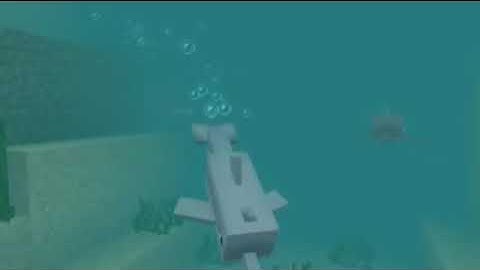 (REQUESTED) Ah,Você Dolphins Are Not In The Desert! Csupo