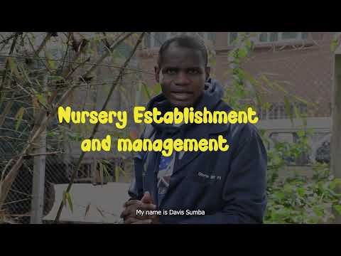 Nursery Establishment &