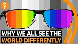 Why we all experience the world differently | BBC Ideas