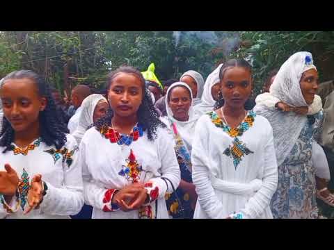 Ciidhaa Malasaa Malakuu