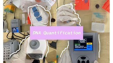 Kuantifikasi DNA dengan QuantiFluor® ONE dsDNA System