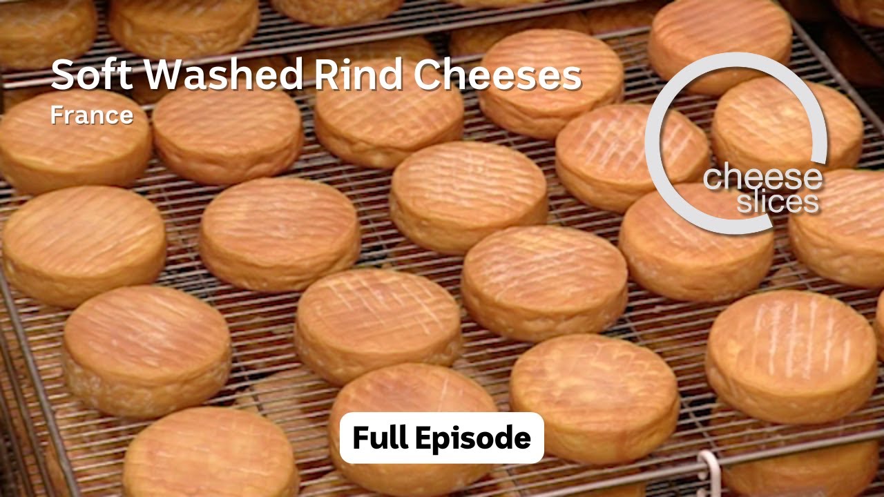 Soft Washed Rind Cheeses - France - Cheese Slices with Will Studd