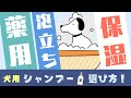 【犬用シャンプーの選び方】ペットショップ店長のおすすめシャンプーもご紹介！