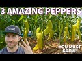 Why im obsessed with these 3 special pepper plants