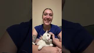 Rachel Cheri is live! Let’s Chat about Random Topics