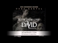 Vybz Kartel - Slew Dem Like David | February 2013