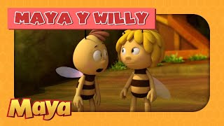 La Abeja Maya  Maya y Willy  ¿Cómo desaparecen los piojos?