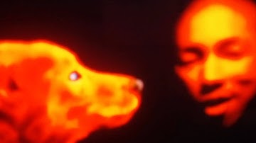 N.E.R.D. - She Wants To Move [OFFICIAL VIDEO]