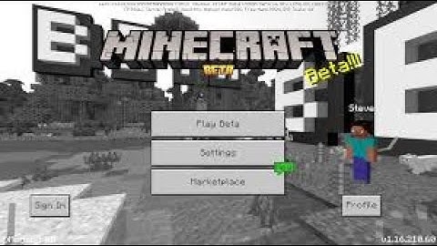 Weird Minecraft Bedrock 1.16.210.60 beta Glitch