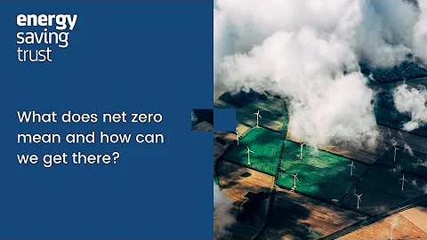 What does net zero mean and how can we get there?