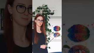 Как выключить эмоции и включить мозг в стрессовой ситуации