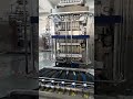 Samfull multilane stick packaging and counting machine
