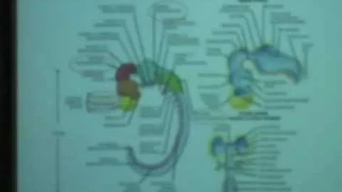 Behavioral Neuroscience Lab, Lec 1, Psychology 116...