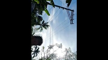 PERFORMANCE TASK IN COMPUTER-10