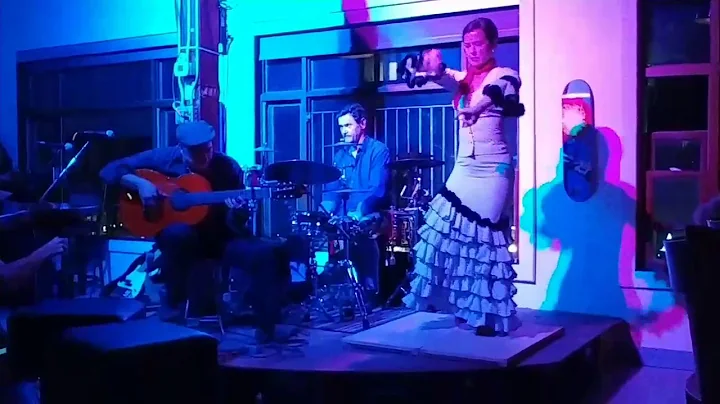 Honey Sturdy Flamenco dancing at Without Papers Pi...