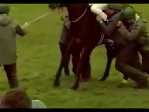 Funny Horse Racing Bloopers Compilation