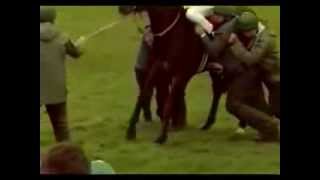 Funny Horse Racing Bloopers Compilation