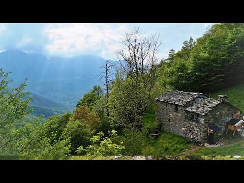 Off Grid Living | A Fallen Tree, Fresh Water & a New Garden | EP 126