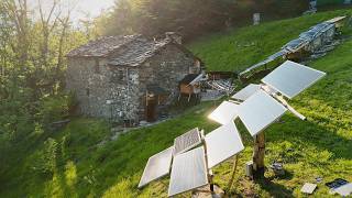 A Fallen Tree, Fresh Water & a New Garden | Off Grid Living | EP 126 screenshot 4
