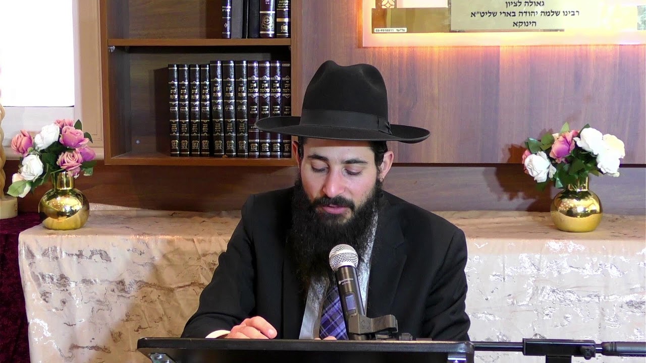 על מה יצר הרע נלחם בכל הכח |השיעור היומי מבית מדרשו של הגאון הינוקא שליט״א|הרה״ג לוי יצחק שוב שליט״א