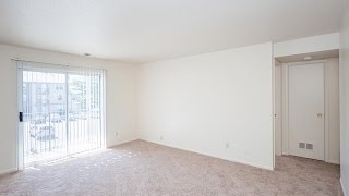 University Commons Apartments Missouri - liveatuniversitycommons.com - 1BD 1BA Apartment For Rent