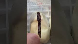 Lambright reptiles is at it again! Ball python egg cutting! GHI Mojave pastel bred to fire female!