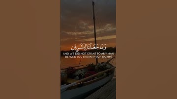 تلاوة هادئة تريح الأعصاب😴🎧 القارئ: عز الدين العوامى سورة: الأنبياء 💙❤