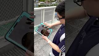 Real Drop Test on Stairs | Rugged Tablet Case (No Edits)