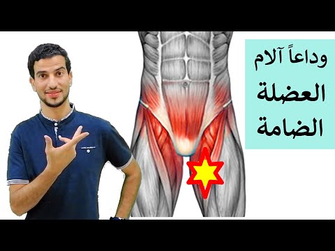 فيديو: لماذا يؤلم طول العضلة المقربة؟