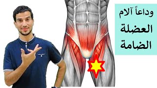 تخلص من الام العضلة الضامة نهائياً ب ٣ تمارين فقط | علاج مزق الضامة  Adductor Strain د. احمد الخطيب