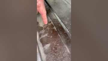 How maple sap becomes maple syrup!