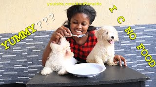 My Dogs Reacts to the Invisible Food Challenge (ANN RONALDO)