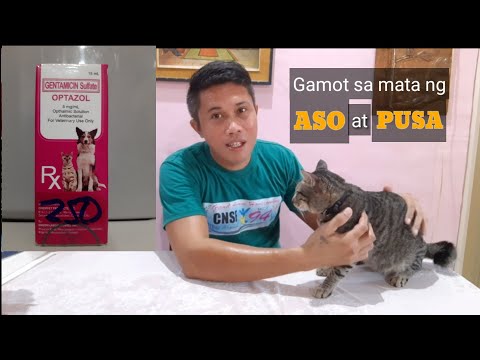 Video: Tsiprovet Para Sa Mga Pusa: Mga Tagubilin Para Sa Paggamit, Mga Tablet At Patak Ng Mata, Mga Pagsusuri, Analogue