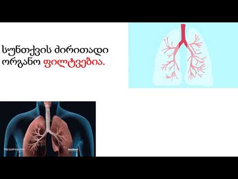 სუნთქვა - ბუნების ონლაინ გაკვეთილი