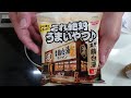 これ絶対うまいやつ♪濃厚鶏白湯【日清】