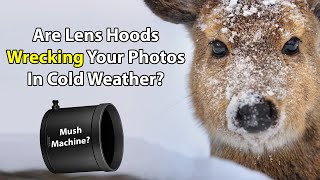 Are Lens Hoods Wrecking Your Photos In Cold Weather? screenshot 5