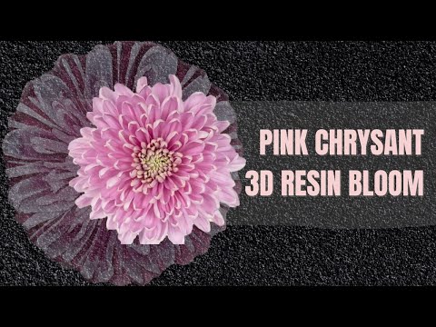 Pink Chrysant 3D RESIN FLOWER BLOOM Tutorial