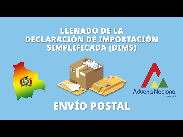 Llenado de la Declaración de Importación Simplificada (DIMS) - Envíos Postales class=