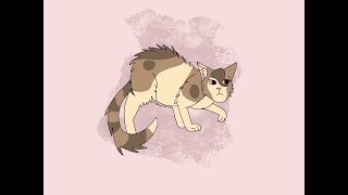 Drawing Every Warrior Cat Day 8! [Morningflower]