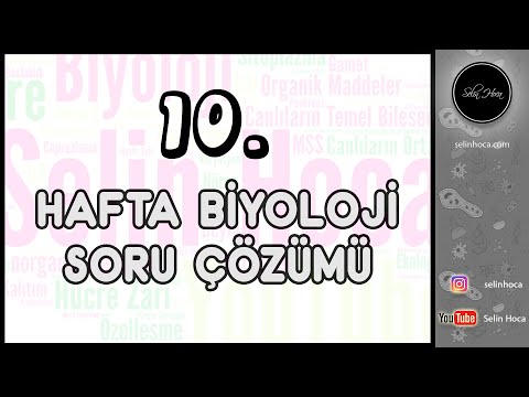 10. Hafta Biyoloji Soru Çözümü