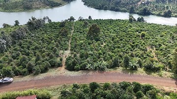 View hồ đẹp mua vào thu tiền tỷ luôn,bám 160 mét nhựa thổ cư,gần trung tâm giá rẻ bèo Lh 0979653223