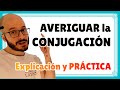 CLASIFICAR en CONJUGACIONES 🏛️ ¿A qué conjugación pertenece un verbo? ‹ Curso de latín desde cero #1