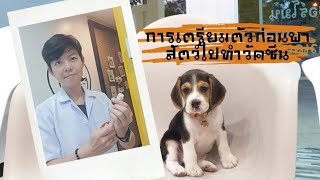 การเตรียมตัวก่อนพาน้องหมาน้องแมวไปทำวัคซีน🐕💉 #สัตวแพทย์ #vet