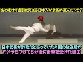 日本武術が詐欺だと疑っていた外国の放送局がカメラをつけて5分後に衝撃を受けた理由