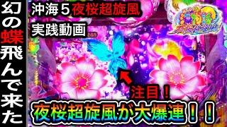 【421日目】Pスーパー海物語in沖縄5夜桜超旋風！自己記録の大連チャン！（ガチ実践動画2022/8/13）