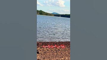 رقية شرعية #اكسبلور #المصحف #قران_كريم #رقية_شرعية #راحة_نفسية #راحة_القلوب #azkar