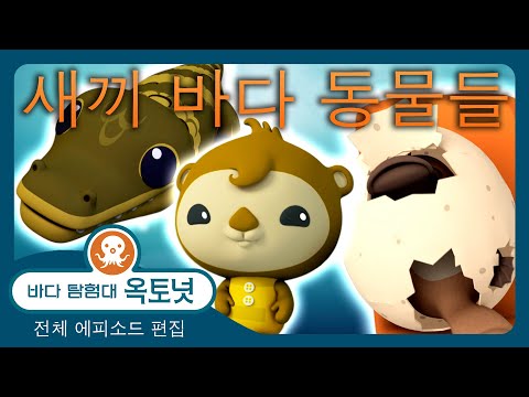 <strong>바다</strong> 탐험대 옥토넛 - 🌸 새끼 <strong>바다</strong> 동물들 🐣 - 180분+ <strong>봄</strong> 편집 - 모음집