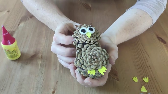Sova Ze Šišek (sovu šišky, důkladně zaschnout, jako originální, lepidlo důkladně) Sova Ze Šišek