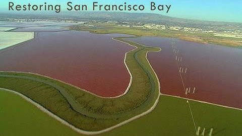 Saving the Bay - Restoring San Francisco Bay: The Role of Historical Maps